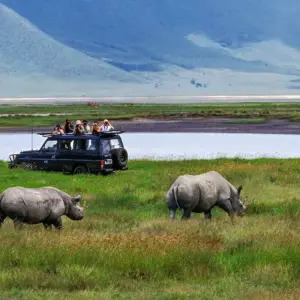 Explore 4-Days Private Midrange Safari from and to Zanzibar for 4 days with African Polecat Safaris and discover unforgettable experiences - Photo 5