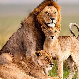 Explore 2 Days Safari game drive in  Akagera National Park Rwanda for 2 days with African Travellers and discover unforgettable experiences - Photo 10
