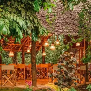 Explore 4-Days Private Midrange Safari: Serengeti National Park for 4 days with African Polecat Safaris and discover unforgettable experiences - Photo 6