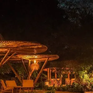 Explore 4-Days Private Midrange Safari: Serengeti National Park for 4 days with African Polecat Safaris and discover unforgettable experiences - Photo 8