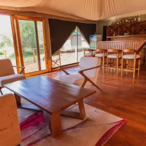 Explore 4-Day Serengeti Migration Private Luxury Safari From & To Zanzibar for 4 days with African Polecat Safaris and discover unforgettable experiences - Photo 3