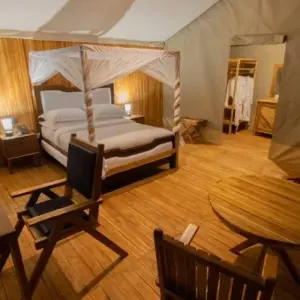 Explore 4-Day Serengeti Migration Private Luxury Safari From & To Zanzibar for 4 days with African Polecat Safaris and discover unforgettable experiences - Photo 5