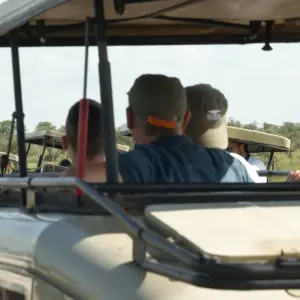 Explore 4-Days Camping Safari Visiting Serengeti and Ngorongoro & Kilimanjaro Day Hiking for 4 days with African Polecat Safaris and discover unforgettable experiences - Photo 3