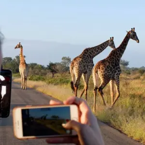 Explore 4-Days Camping Safari Visiting Tarangire, Ngorongoro and Serengeti National Parks for 4 days with African Polecat Safaris and discover unforgettable experiences - Photo 4