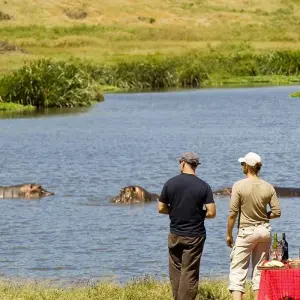 Explore 3-Days Tarangire & Ngorongoro Mid-Range Private Safari From & To Zanzibar for 3 days with African Polecat Safaris and discover unforgettable experiences - Photo 6