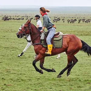 Explore 4-Day Serengeti Migration Private Luxury Safari From & To Zanzibar for 4 days with African Polecat Safaris and discover unforgettable experiences - Photo 7