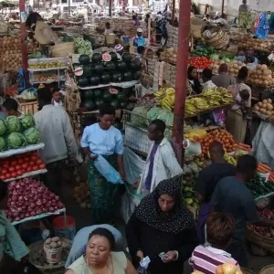 Explore Arusha Town Tour (Geneva of Africa ) for 1 days with African Polecat Safaris and discover unforgettable experiences - Photo 9