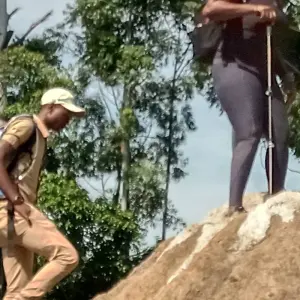 Explore Mount Kilimanjaro Day hike for 1 days with African Polecat Safaris and discover unforgettable experiences - Photo 3