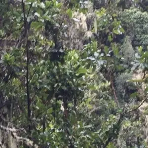 Explore Mountain Kilimanjaro Rongai Route 6/7 days ( less populated) for 6 days with African Polecat Safaris and discover unforgettable experiences - Photo 5