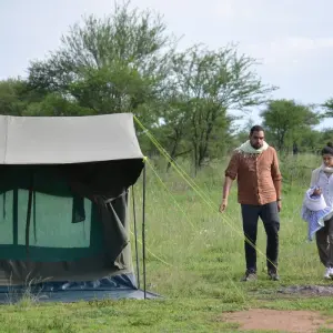 Explore 5-Days Private Budget Safari: Tarangire, Serengeti & Ngorongoro for 5 days with African Polecat Safaris and discover unforgettable experiences - Photo 3