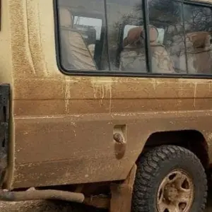 Explore 3-Days Private Camping Safari Visiting Serengeti and Ngorongoro National parks for 3 days with African Polecat Safaris and discover unforgettable experiences - Photo 9