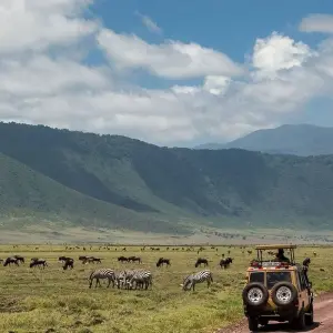 Explore 5-Days Private Budget Safari: Tarangire, Serengeti & Ngorongoro for 5 days with African Polecat Safaris and discover unforgettable experiences - Photo 4