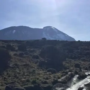 Explore Mountain Kilimanjaro Rongai Route 6/7 days ( less populated) for 6 days with African Polecat Safaris and discover unforgettable experiences - Photo 7