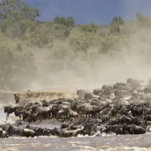 Explore 4-Day Serengeti Migration Private Luxury Safari From & To Zanzibar for 4 days with African Polecat Safaris and discover unforgettable experiences - Photo 11