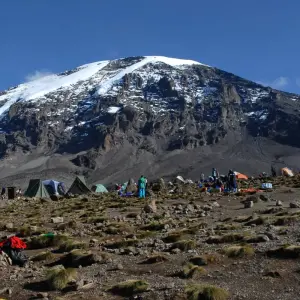 Explore Mount Kilimanjaro 8 Days Lemosho route ( our favorite route) for 8 days with African Polecat Safaris and discover unforgettable experiences - Photo 4