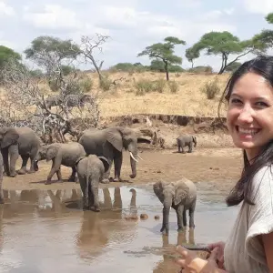 Explore 5-Days Private Budget Safari: Tarangire, Serengeti & Ngorongoro for 5 days with African Polecat Safaris and discover unforgettable experiences - Photo 5