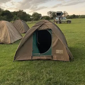 Explore 2-Day Budget Lodge safari to Tarangire and Ngorongoro for 2 days with African Polecat Safaris and discover unforgettable experiences - Photo 6