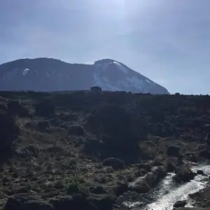 Explore Mountain Kilimanjaro Rongai Route 6/7 days ( less populated) for 6 days with African Polecat Safaris and discover unforgettable experiences - Photo 8