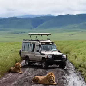 Explore 5-Days Private Budget Safari: Tarangire, Serengeti & Ngorongoro for 5 days with African Polecat Safaris and discover unforgettable experiences - Photo 6