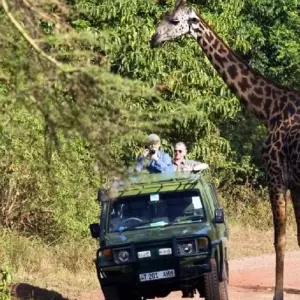 Explore 4-Days Camping Safari Visiting Tarangire, Ngorongoro and Serengeti National Parks for 4 days with African Polecat Safaris and discover unforgettable experiences - Photo 11