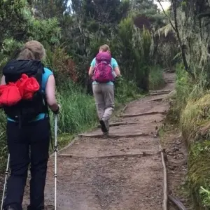 Explore Mountain Kilimanjaro Rongai Route 6/7 days ( less populated) for 6 days with African Polecat Safaris and discover unforgettable experiences - Photo 9