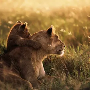 Explore 9-Days Private Safari visiting all National Parks luxury Tour for 9 days with African Polecat Safaris and discover unforgettable experiences - Photo 3