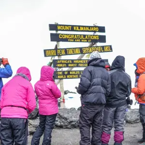 Explore Mount Kilimanjaro 8 Days Lemosho route ( our favorite route) for 8 days with African Polecat Safaris and discover unforgettable experiences - Photo 6