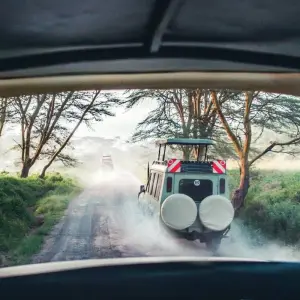 Explore 5-Days Private Budget Safari: Tarangire, Serengeti & Ngorongoro for 5 days with African Polecat Safaris and discover unforgettable experiences - Photo 7