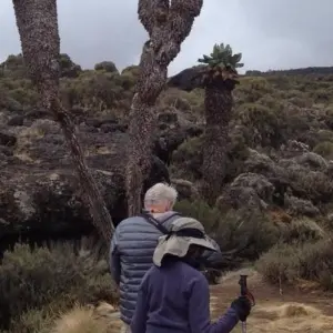 Explore Mountain Kilimanjaro Rongai Route 6/7 days ( less populated) for 6 days with African Polecat Safaris and discover unforgettable experiences - Photo 10