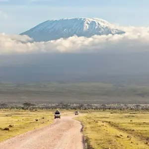 Explore Mount Kilimanjaro 8 Days Lemosho route ( our favorite route) for 8 days with African Polecat Safaris and discover unforgettable experiences - Photo 7