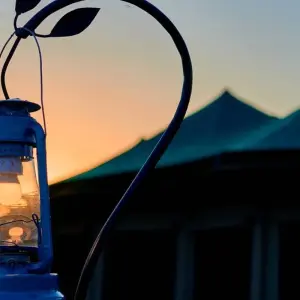 Explore 9-Days Private Safari visiting all National Parks luxury Tour for 9 days with African Polecat Safaris and discover unforgettable experiences - Photo 4