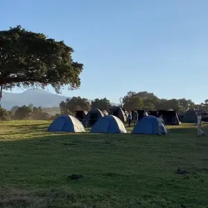 Explore 5-Days Private Budget Safari: Tarangire, Serengeti & Ngorongoro for 5 days with African Polecat Safaris and discover unforgettable experiences - Photo 8