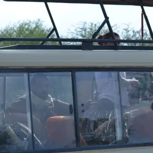 Explore 3-Days Tarangire, Ngorongoro & Lake Manyara Mid-range Lodge Safari Experience for 3 days with African Polecat Safaris and discover unforgettable experiences - Photo 4