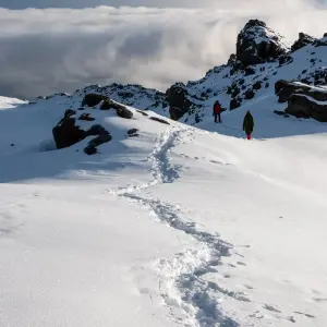 Explore Mount Kilimanjaro 8 Days Lemosho route ( our favorite route) for 8 days with African Polecat Safaris and discover unforgettable experiences - Photo 8