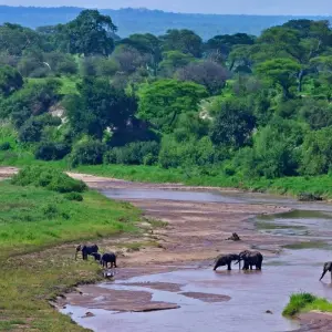 Explore 5-Days Private Budget Safari: Tarangire, Serengeti & Ngorongoro for 5 days with African Polecat Safaris and discover unforgettable experiences - Photo 9
