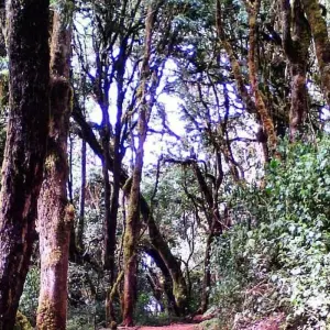 Explore 5-Days Mount Meru Mid-range Safari for 5 days with African Polecat Safaris and discover unforgettable experiences - Photo 3