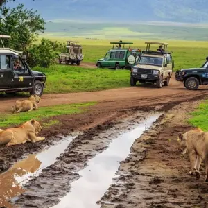 Explore 9-Days Budget safari in the wild including 2 nights in Serengeti and 3 days in Zanzibar. for 9 days with African Polecat Safaris and discover unforgettable experiences - Photo 3