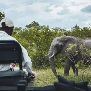 Explore 9-Days Private Safari visiting all National Parks luxury Tour for 9 days with African Polecat Safaris and discover unforgettable experiences - Photo 6