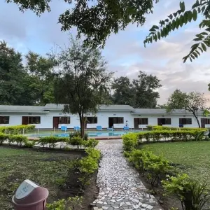 Explore 5-Days Private Budget Safari: Tarangire, Serengeti & Ngorongoro for 5 days with African Polecat Safaris and discover unforgettable experiences - Photo 10