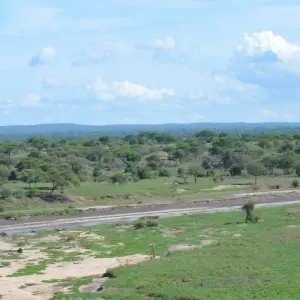 Explore 4-Days Private luxury Safari Visiting Tarangire, Ngorongoro Crater and Lake Manyara for 4 days with African Polecat Safaris and discover unforgettable experiences - Photo 6