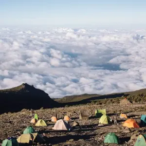 Explore Mount Kilimanjaro 8 Days Lemosho route ( our favorite route) for 8 days with African Polecat Safaris and discover unforgettable experiences - Photo 10