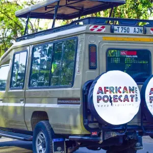 Explore 5-Days Private Midrange Safari Serengeti & Ngorongoro for 5 days with African Polecat Safaris and discover unforgettable experiences - Photo 7