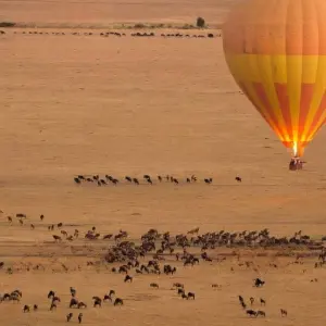 Explore 4-Day Luxury Safari Tour for 4 days with Afrishare Trekking And Safaris and discover unforgettable experiences - Photo 3