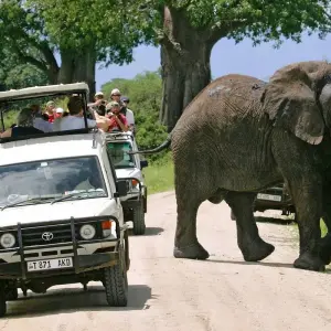 Explore 9-Days Private Safari visiting all National Parks luxury Tour for 9 days with African Polecat Safaris and discover unforgettable experiences - Photo 9