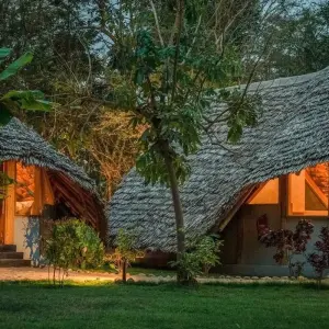 Explore 6-Days Private Midrange; Serengeti, Ngorongoro, Tarangire & lake Manyara for 6 days with African Polecat Safaris and discover unforgettable experiences - Photo 8