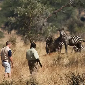 Explore 2-Day Epic Safari Best of Tarangire and Manyara for 2 days with Afrishare Trekking And Safaris and discover unforgettable experiences - Photo 5