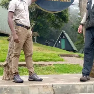 Explore 7-Days Mid-range Safari Lodge Experience visiting all National Parks including Kilimanjaro Day Hiking for 7 days with African Polecat Safaris and discover unforgettable experiences - Photo 8