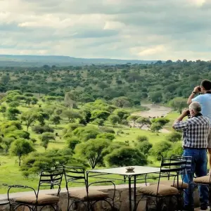 Explore 9-Days Private Safari visiting all National Parks luxury Tour for 9 days with African Polecat Safaris and discover unforgettable experiences - Photo 10