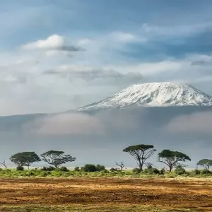 Explore 5 Days Mountain Kilimanjaro Trekking via Marangu Route Shared Tour for 5 days with Afrishare Trekking And Safaris and discover unforgettable experiences - Photo 7