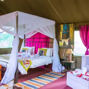 Explore 3-Days Tarangire, Ngorongoro & Lake Manyara Mid-range Lodge Safari Experience for 3 days with African Polecat Safaris and discover unforgettable experiences - Photo 10